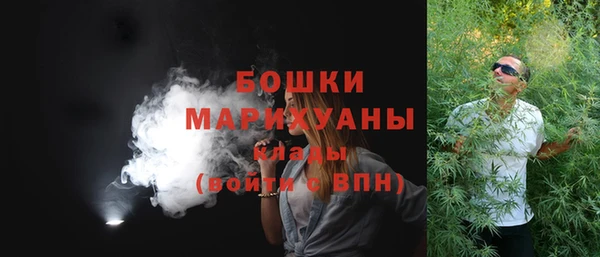 соль ск Вяземский