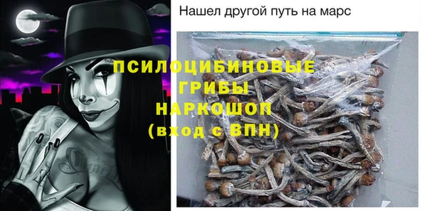 дмт Гусиноозёрск
