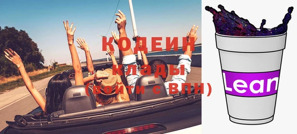 соль ск Вяземский