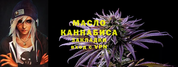 соль ск Вяземский